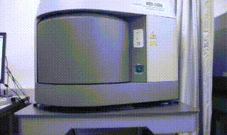 1792602539791-p3-5-2.gif
