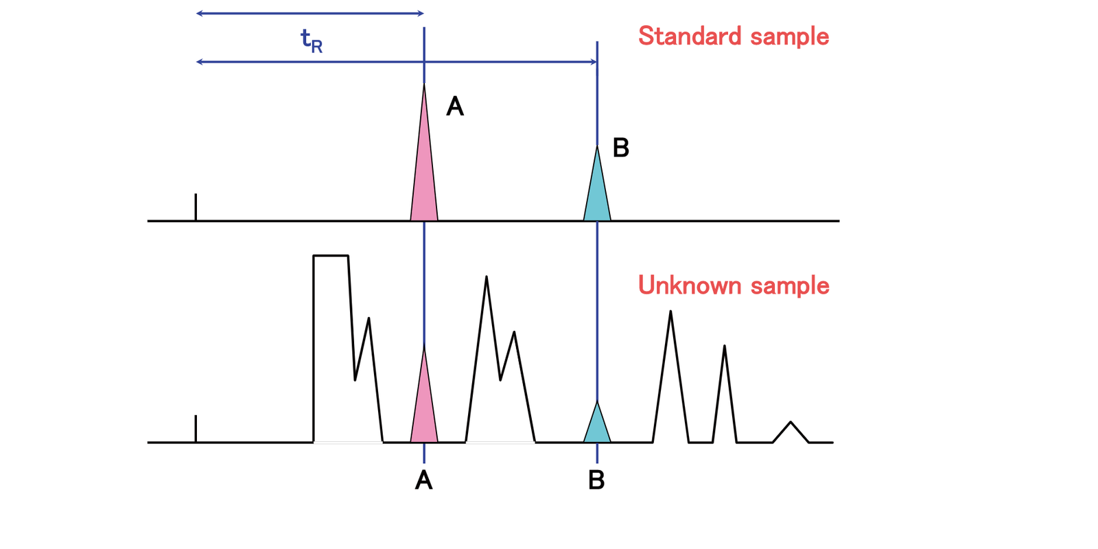 1792619044212-p7-5-1.png