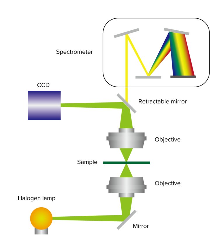 1792620883261-p9-1-2.png